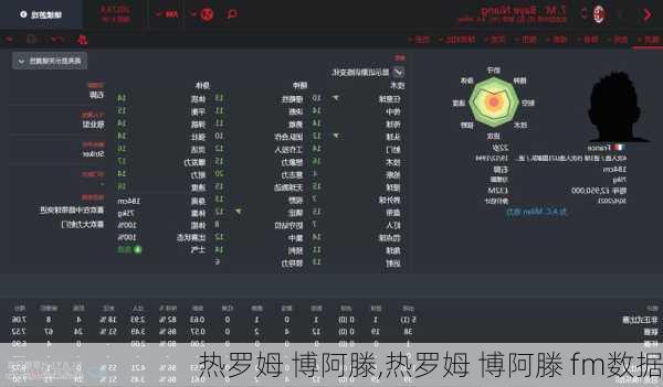 热罗姆 博阿滕,热罗姆 博阿滕 fm数据