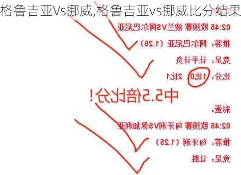 格鲁吉亚Vs挪威,格鲁吉亚vs挪威比分结果