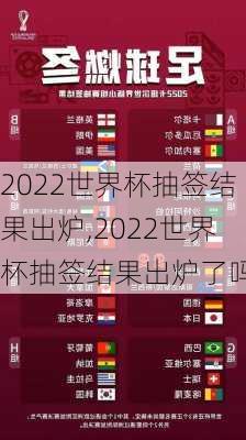 2022世界杯抽签结果出炉,2022世界杯抽签结果出炉了吗