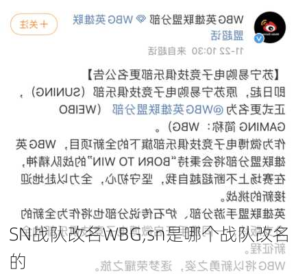 SN战队改名WBG,sn是哪个战队改名的