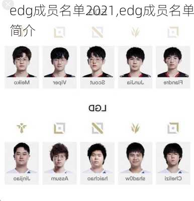 edg成员名单2021,edg成员名单简介