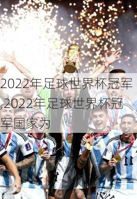 2022年足球世界杯冠军,2022年足球世界杯冠军国家为