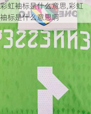 彩虹袖标是什么意思,彩虹袖标是什么意思啊