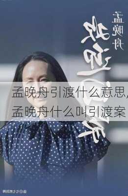 孟晚舟引渡什么意思,孟晚舟什么叫引渡案