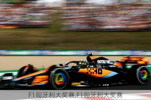 F1匈牙利大奖赛,F1匈牙利大奖赛