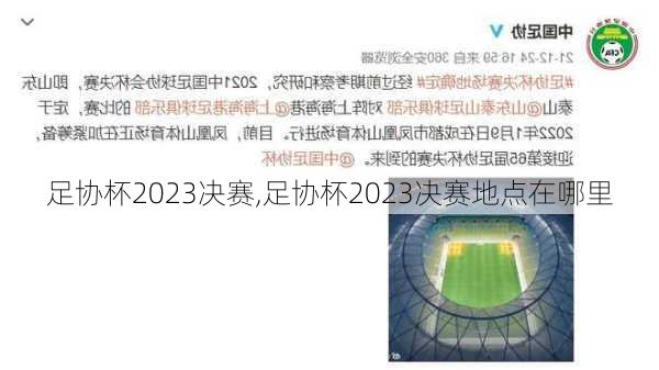 足协杯2023决赛,足协杯2023决赛地点在哪里