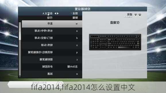 fifa2014,fifa2014怎么设置中文