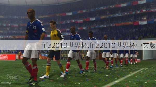 fifa2010世界杯,fifa2010世界杯中文版