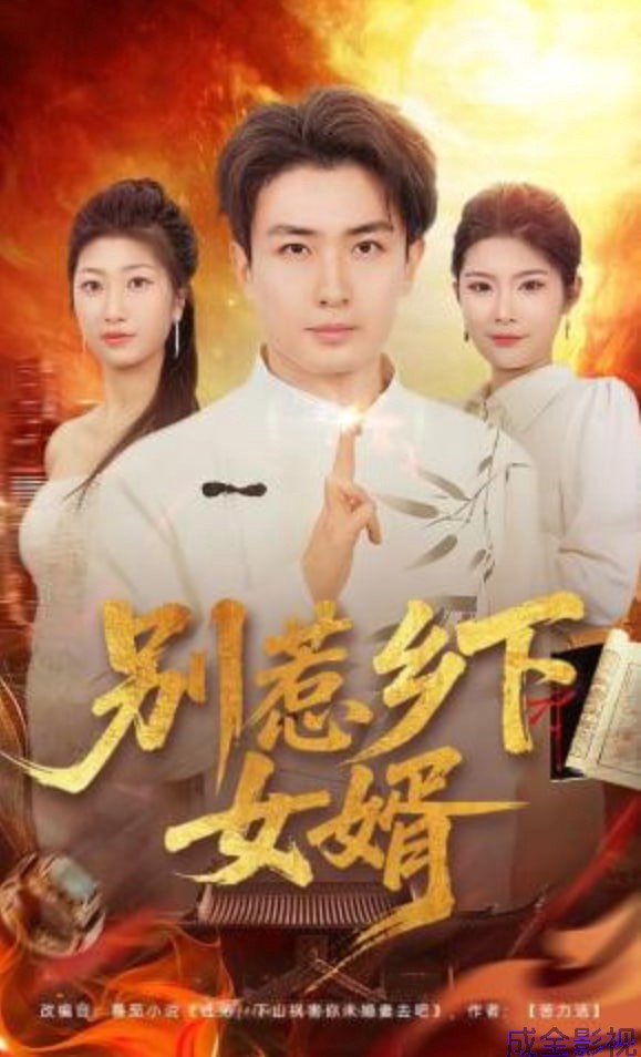 别惹乡下女婿