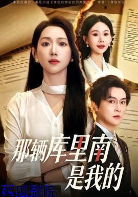 那辆库里南是我的